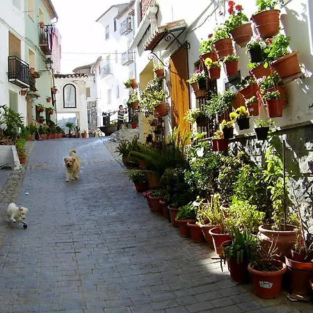 Bed & Breakfast Shariqua (adults Only) Jérica