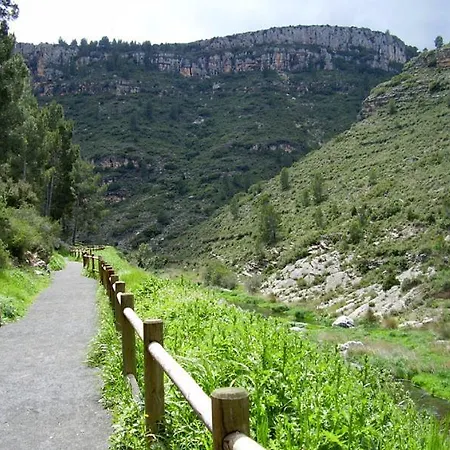 Shariqua (adults Only)