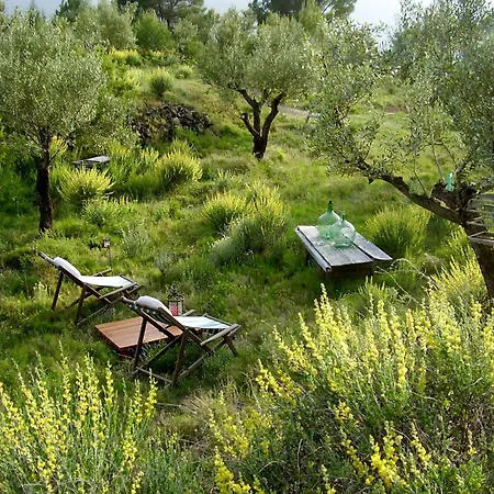 Bed & Breakfast Shariqua (adults Only)
