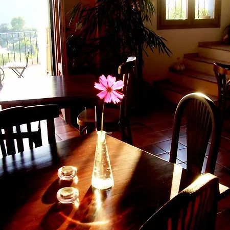 Bed and Breakfast Shariqua (adults Only)